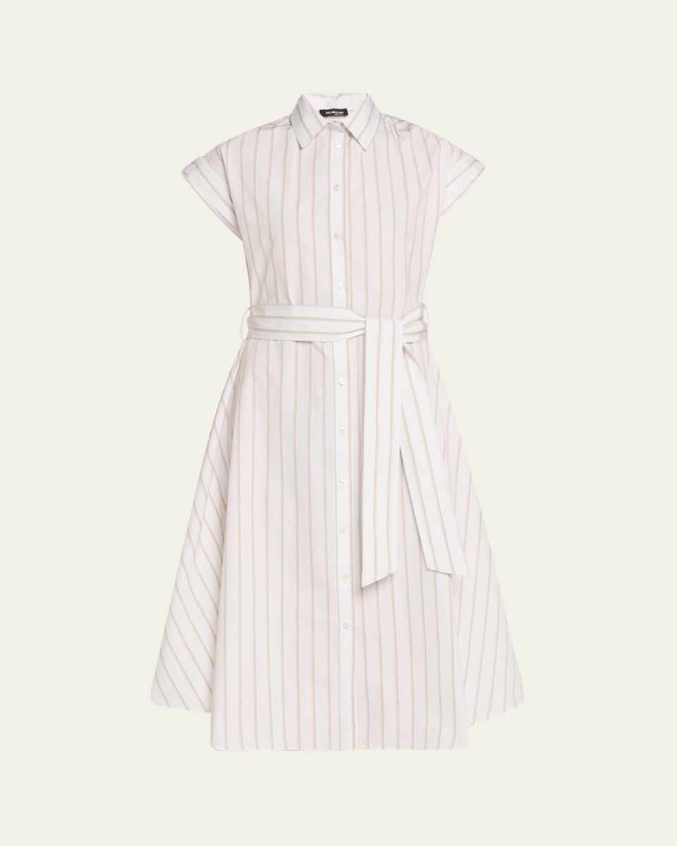 Striped Cotton Poplin Midi Shirtdress